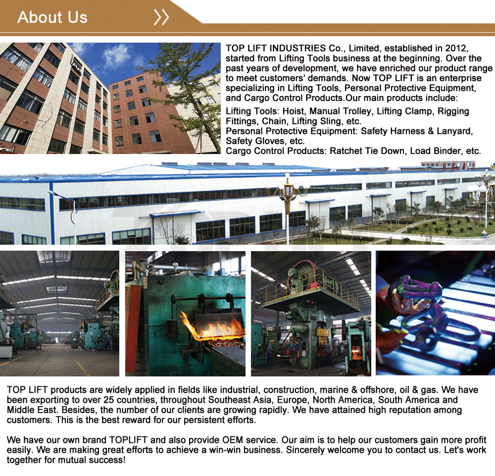 company profile company profile