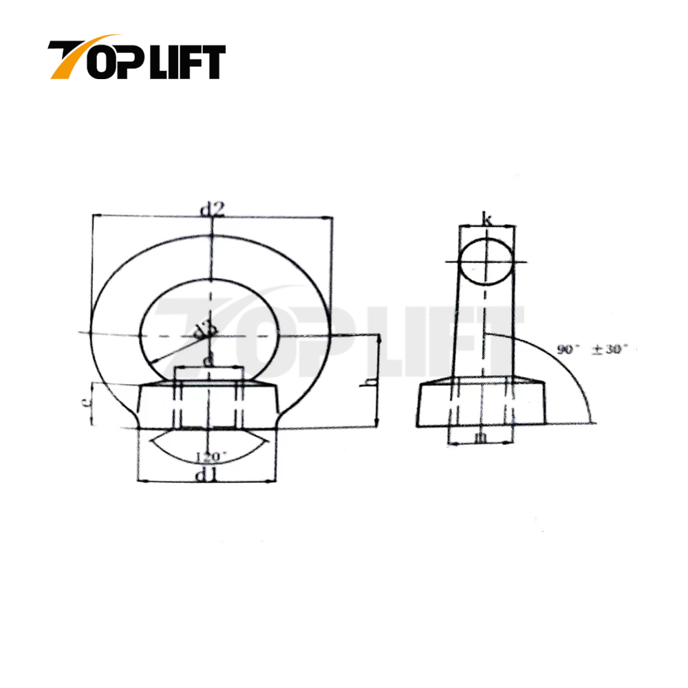 TOPLIFT Marine Rigging Hardware Eye Nut for Lifting Anchoring and Load Safety
