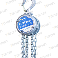 Compact, Light Weight And Simple Design Manual Pulley Chain Hoist Chain Block 500KG Capacity