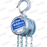 Compact, Light Weight And Simple Design Manual Pulley Chain Hoist Chain Block 250KG Capacity