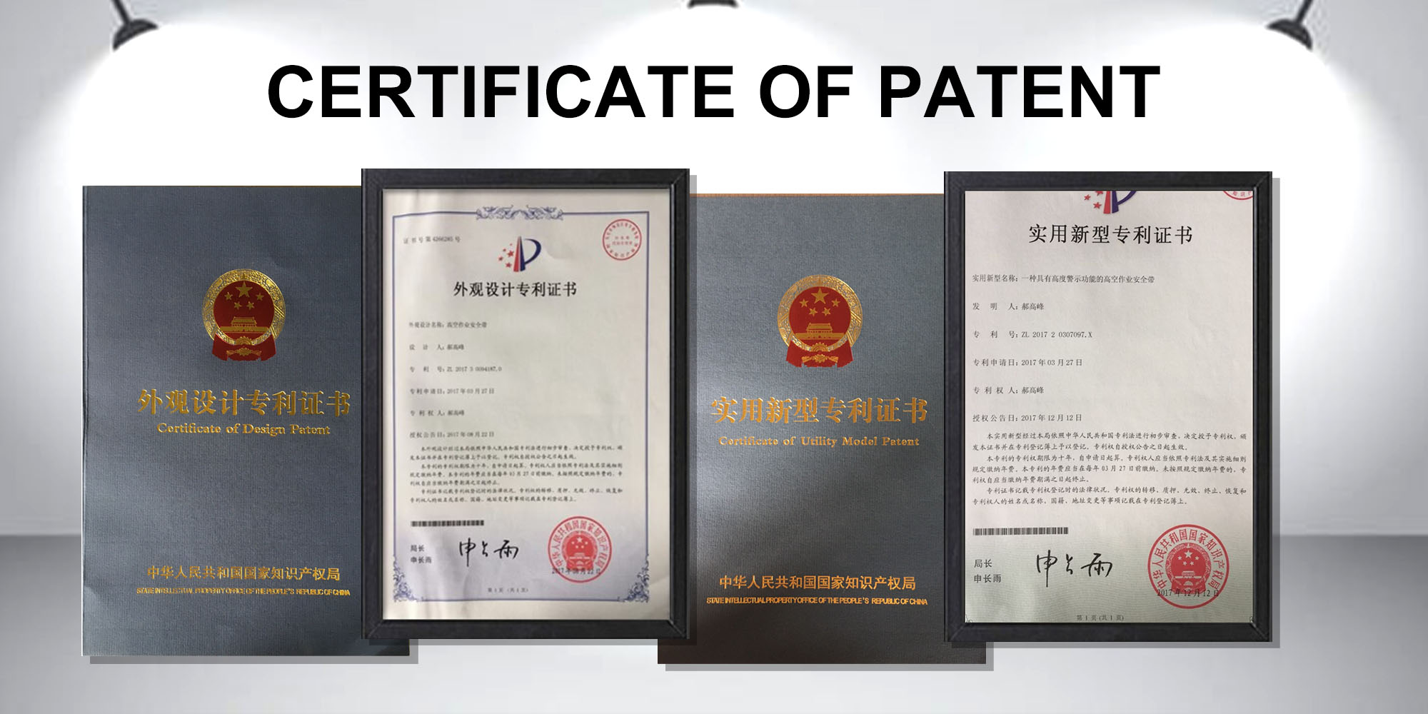 专利网页图