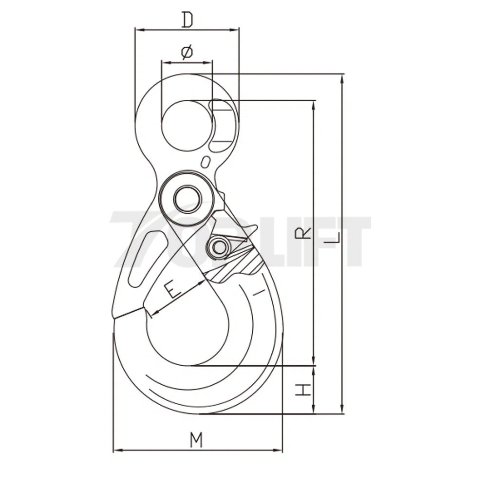 Alloy Steel Forged G80 Eye Type Self-Locking Hook for Rigging