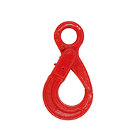 Alloy Steel Forged G80 Eye Type Safety Hook for Rigging Hardware