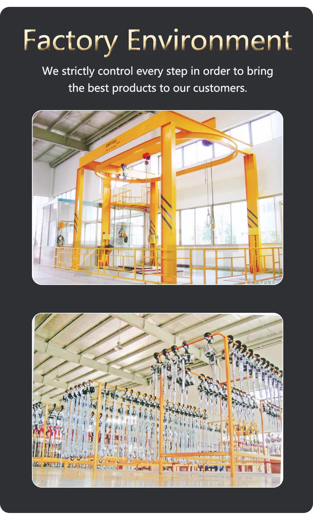 Manual-Lever-Hoist-Chain-Block-6-Ton-Hand-Pulling-Hoist-Lever-Puller.webp (13)